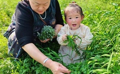 韩国电影办公室3免费完整版百度云